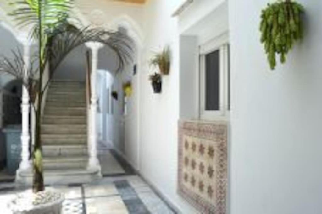 Apartamento Veedor 19 Dias Y Muchas Noches Cadiz Exterior photo